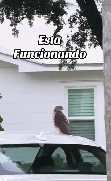 @Yordanka Fonseca