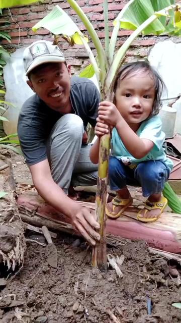 @LADIN ECOFARM STORE