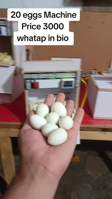 @Hazara Incubators