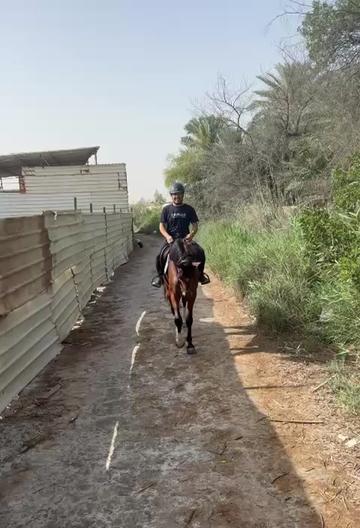 @Al Bosta Equestrian