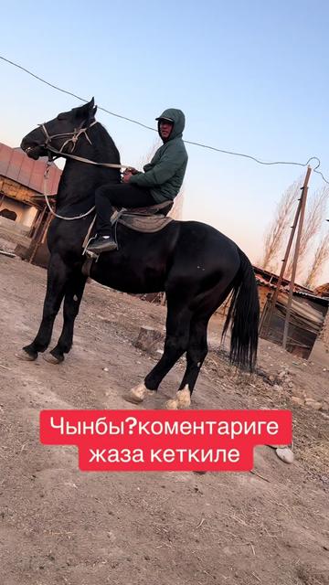 @Oskonbai Tajibaev