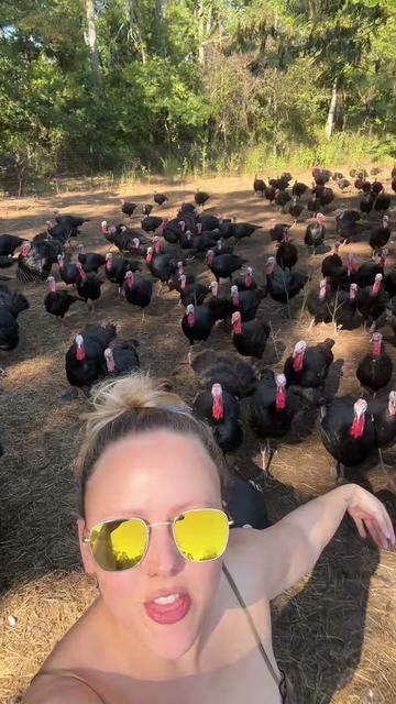 @farmerandtheharpiist