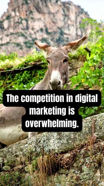 @Digital Marketing Pros ✨