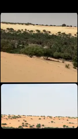 @Voix du Konoum