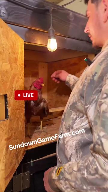 @Sundown Game Farm