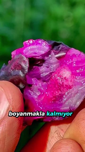 @beynegrafya