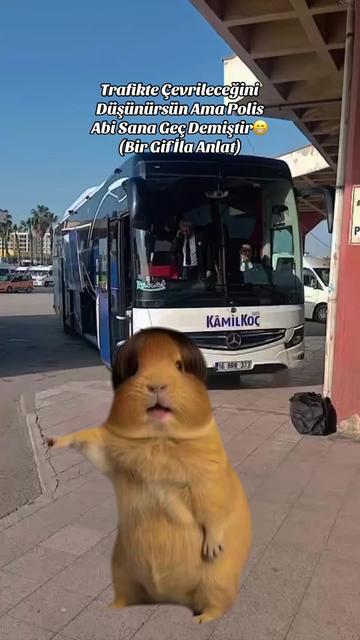@Kadirhan Karaaslan