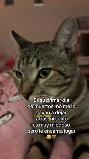 @𝒟ℯ𝓁𝓂𝓎ꨄ🎀