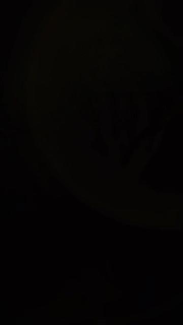 @limon__zz