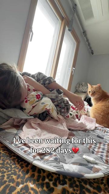 @MyStrayCheese