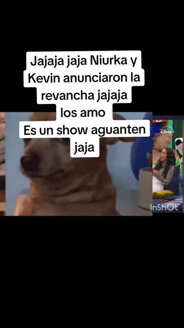 @Moni Lajefa🦋