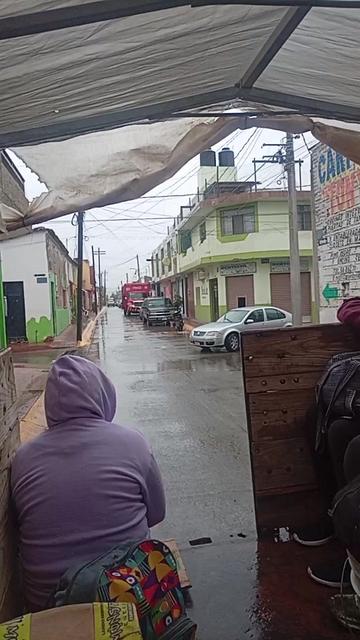 @Paloma Avila