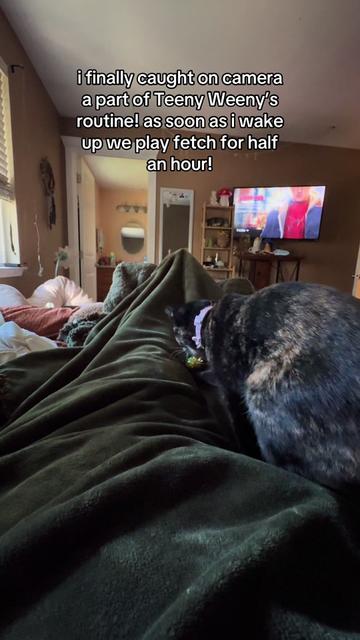 @jaylovesbugs