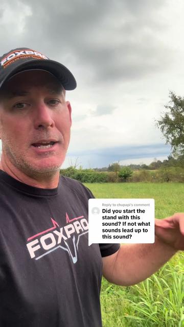 @FOXPRO Game Calls