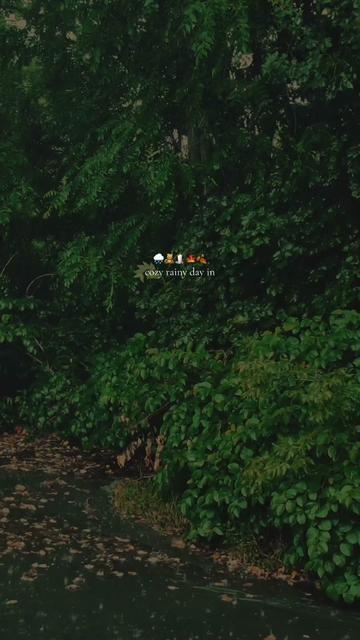 @Roanna | Cozy Corner 🍂🧸🕯️