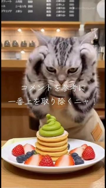 @AI動物園園長