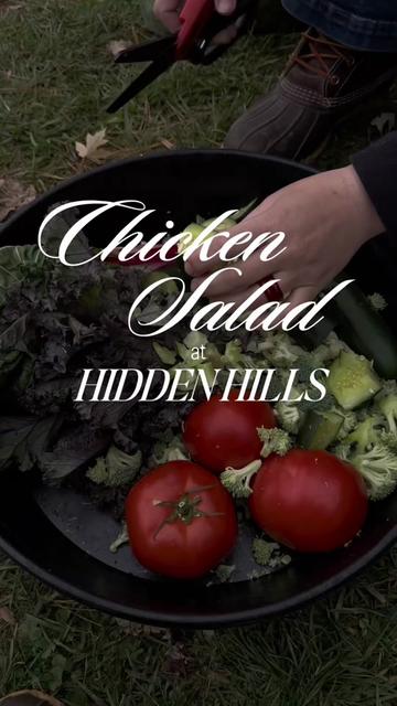 @hiddenhillsequestrian