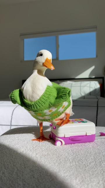 @ducks_in_space🪿🪿💦