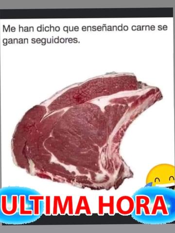 @lapiratadelcaribe_lajefaRH