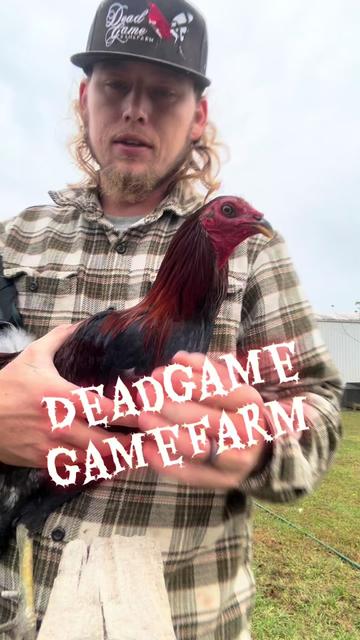 @DeadGame.Gamefarm