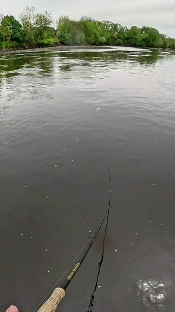 @Dkam Fishing (NJ)