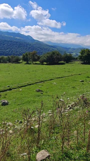 @Fikrət Hüseynov