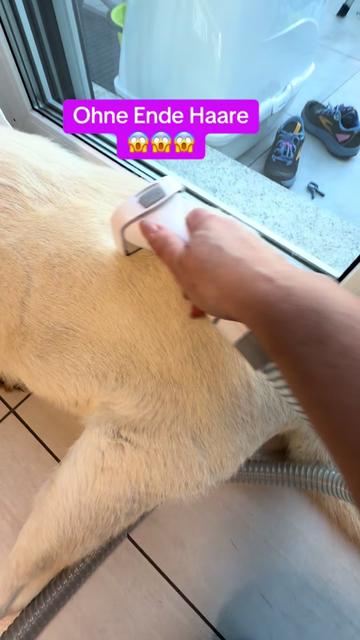 @Braunici
