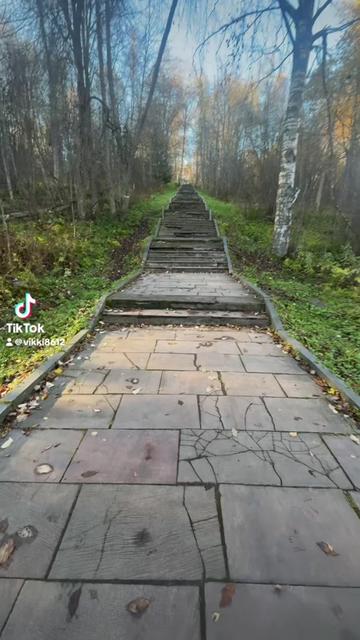 @Виктория Шведова d3f1