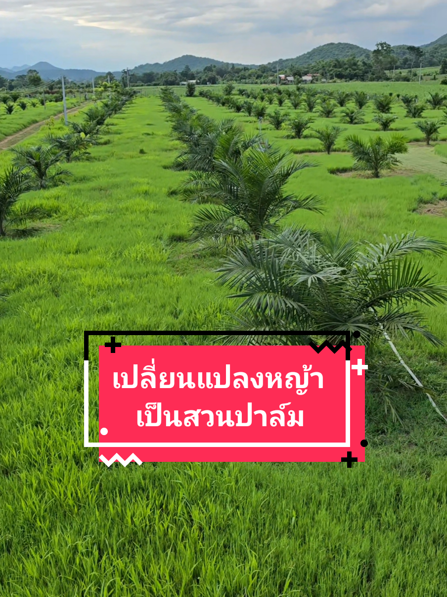 @KTM เขมจิราฟาร์ม