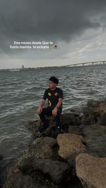 @Nick perez🍃🦕