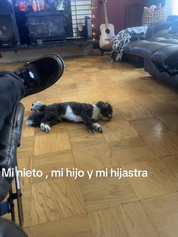 @lupdoog