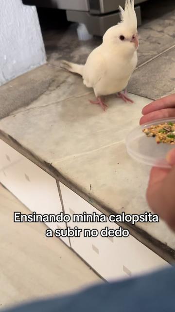 @Sessão Pipoca 🍿 🎥