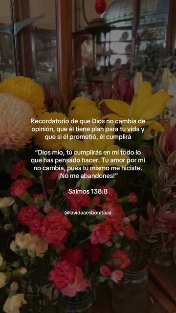 @vidabonita❤️🩹