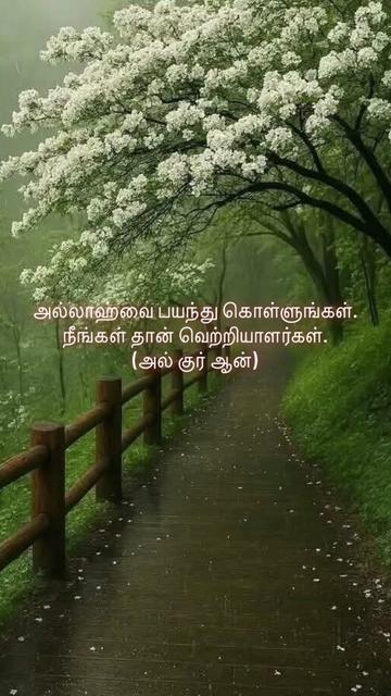 @Muslim_world☝️💌