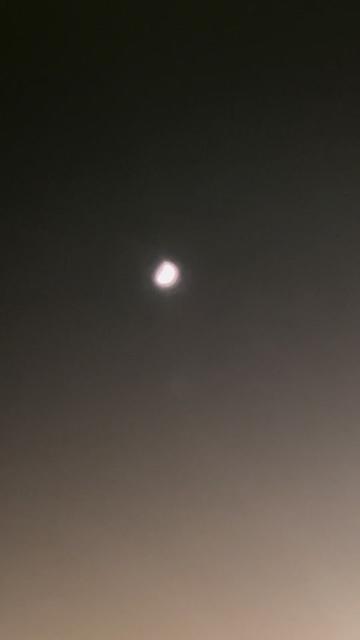 @Delia Flores 🇲🇽
