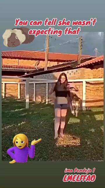 @pendeja 1