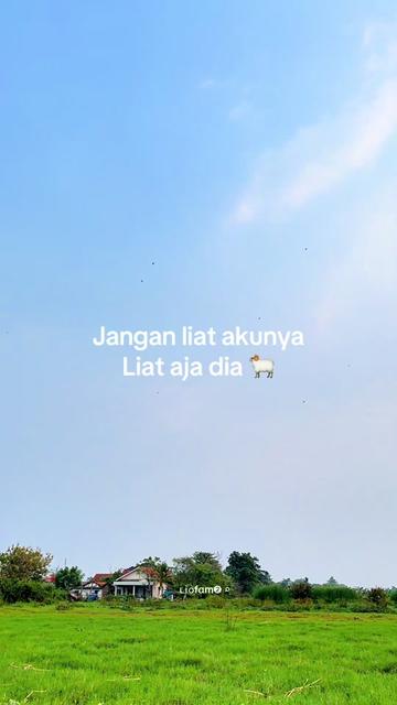 @ʟɨօfαm➋ ⌕ 🐾