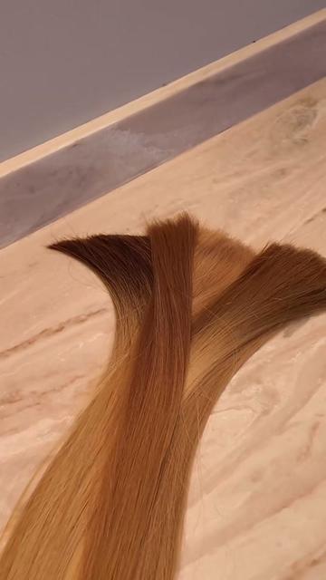 @The Extensionist Academy