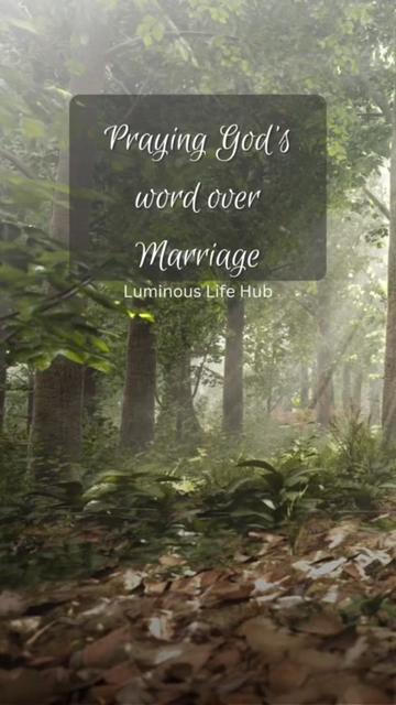 @Luminous Life Hub
