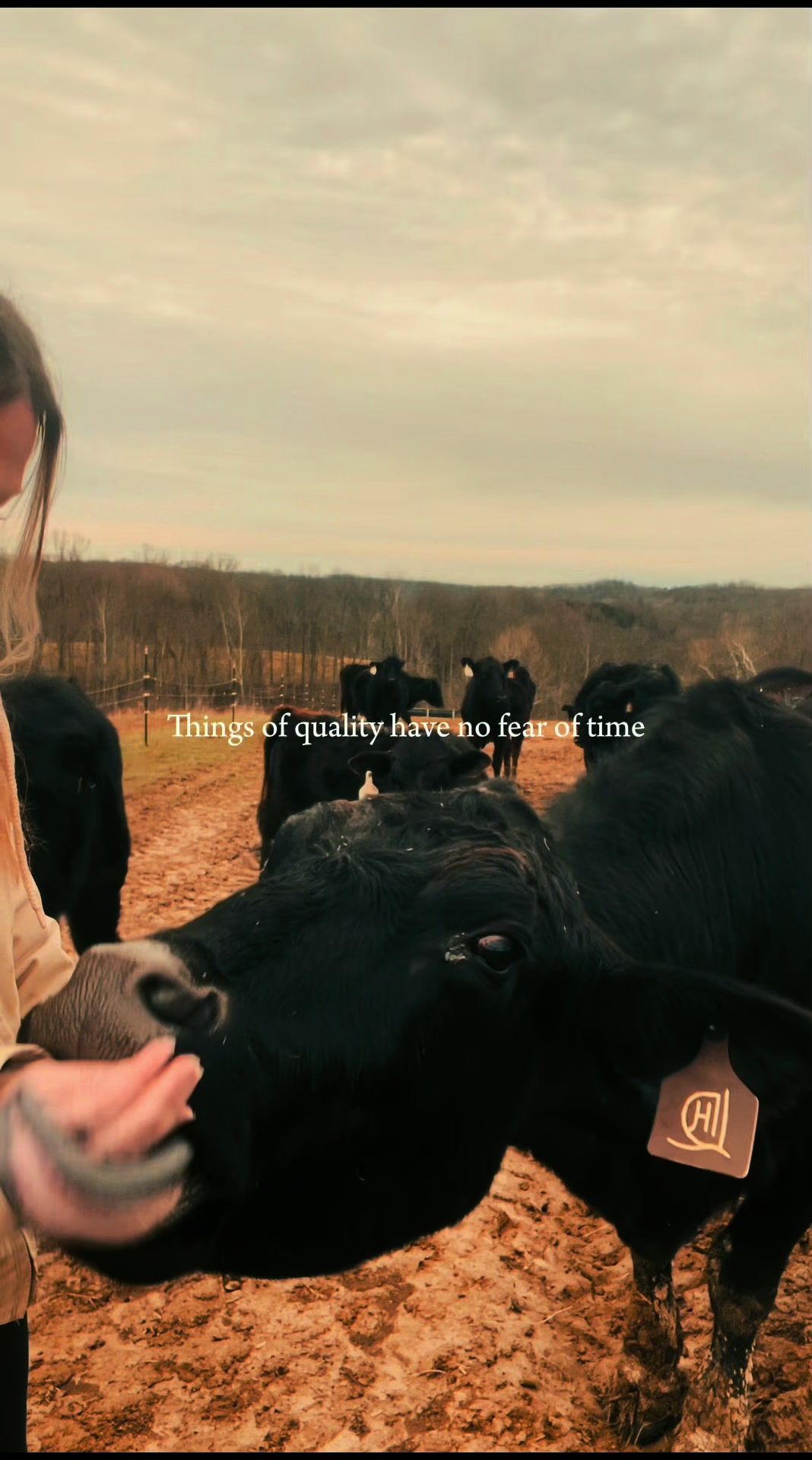 @Sami &bull; LDH Farmstead