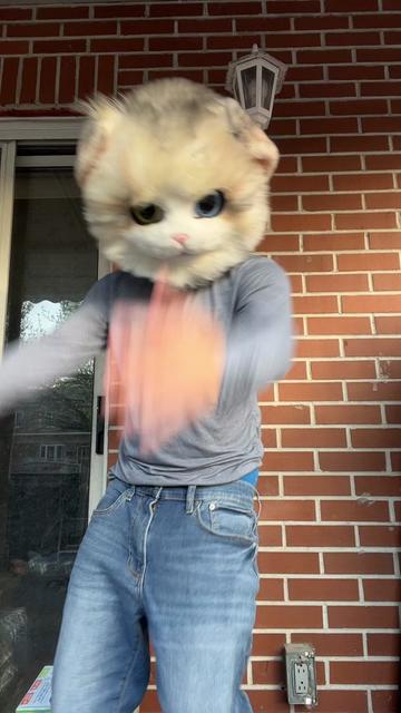 @The CaT 😼
