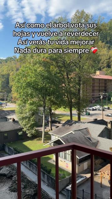 @Gabbyponce 🌷