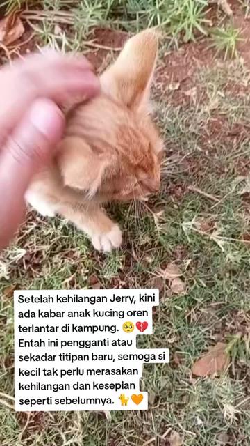 @Lina herlina