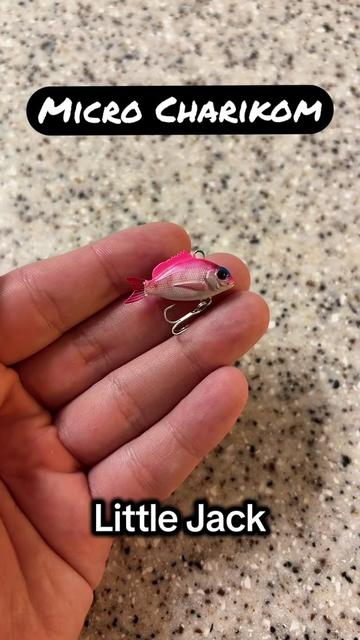 @Noctis JDM Fishing