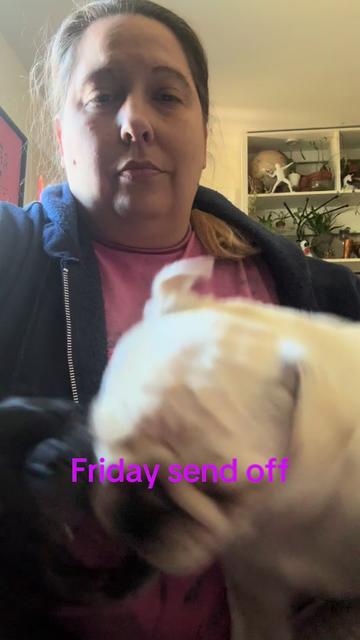 @HRHMcFadden