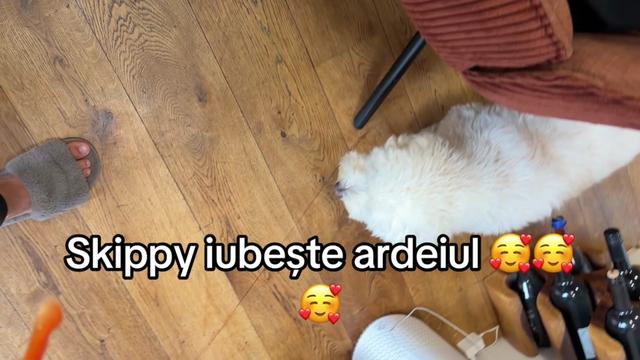 @💛Ale&Hugo🩶