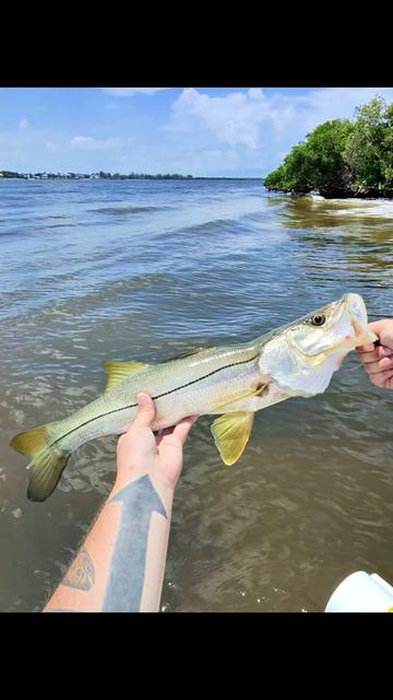 @Noctis JDM Fishing