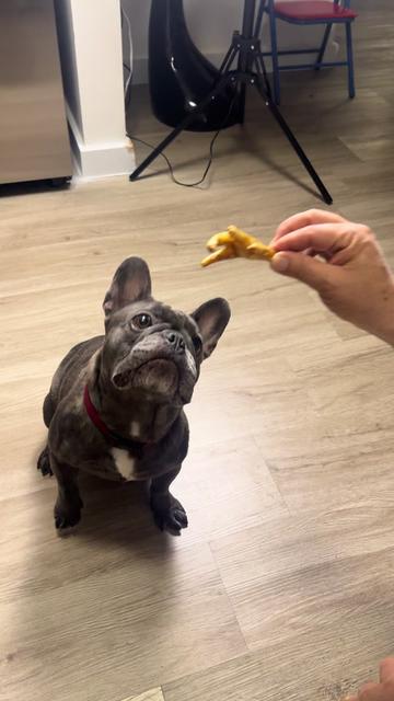 @MAKE A FRIEND PAWS 🐾