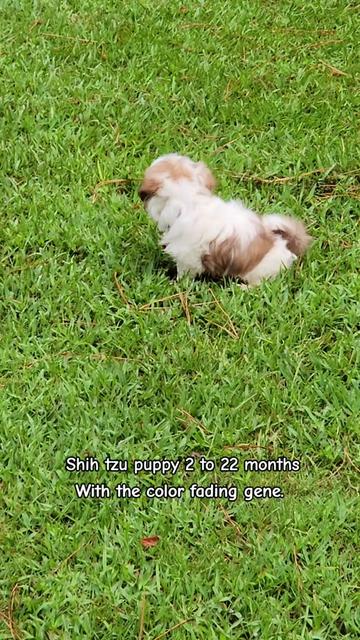 @Little Miss Mollie