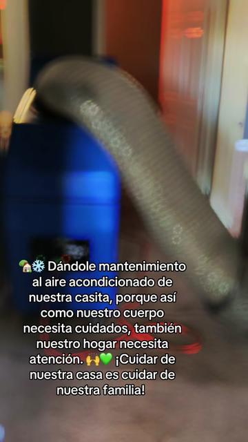 @Magdalena Tobar